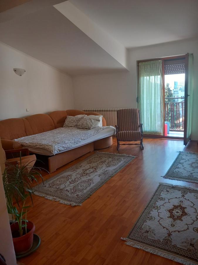 Cosy Rooftop Studio With Balcony Belgrad Zewnętrze zdjęcie