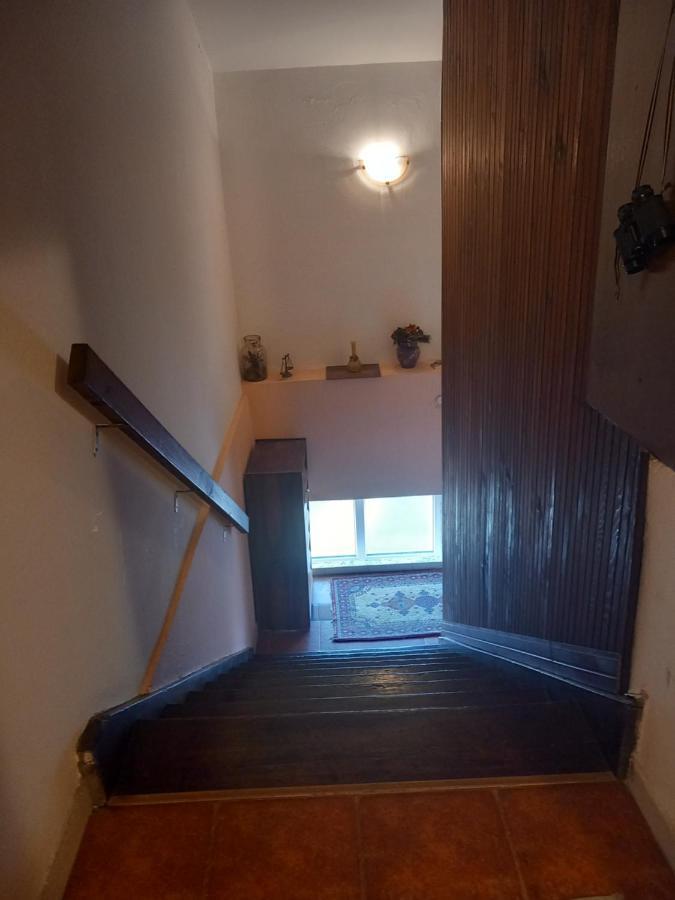 Cosy Rooftop Studio With Balcony Belgrad Zewnętrze zdjęcie