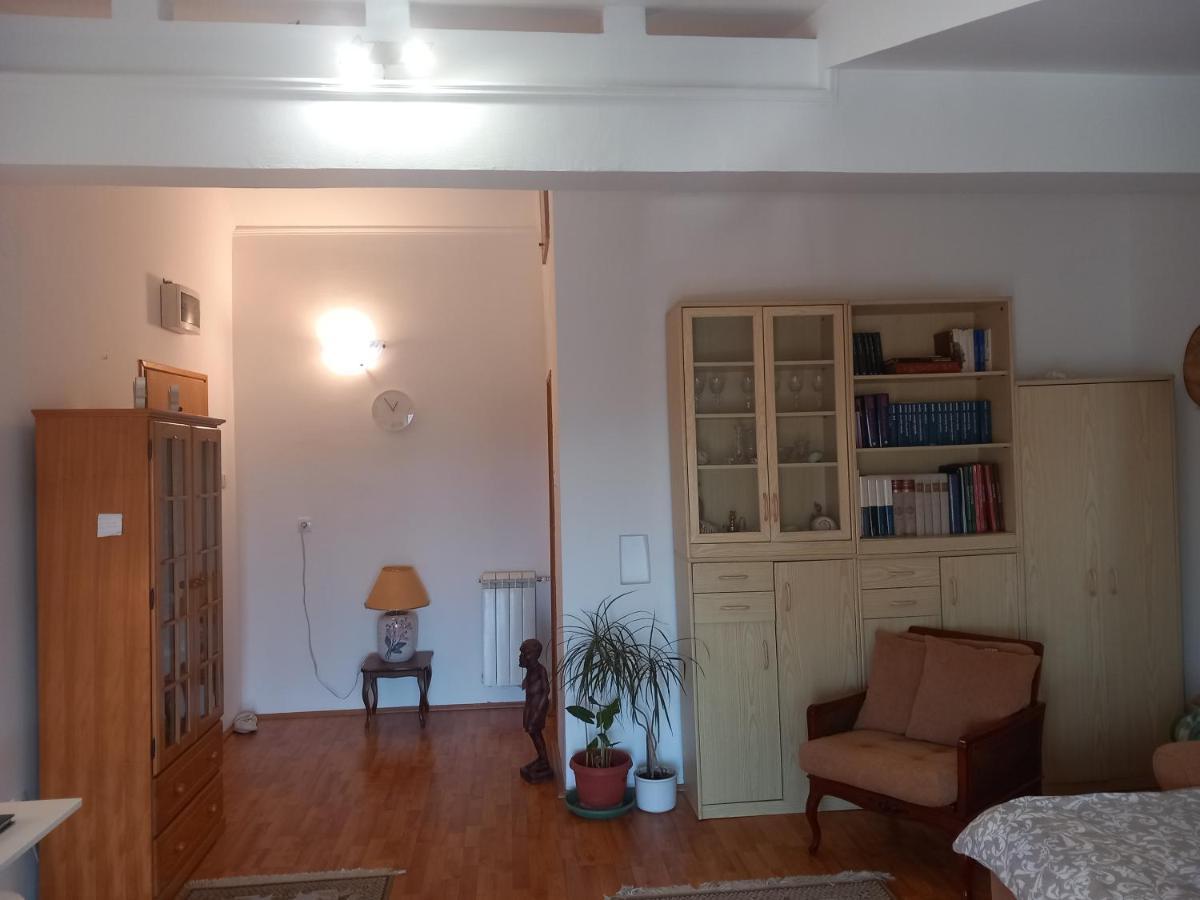 Cosy Rooftop Studio With Balcony Belgrad Zewnętrze zdjęcie